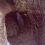 Second image from the photoset 'norwich (ii)'.