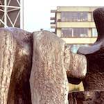 Fifth image from the photoset 'norwich (ii)'.