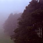 Eighth image from the photoset 'norwich (ii)'.