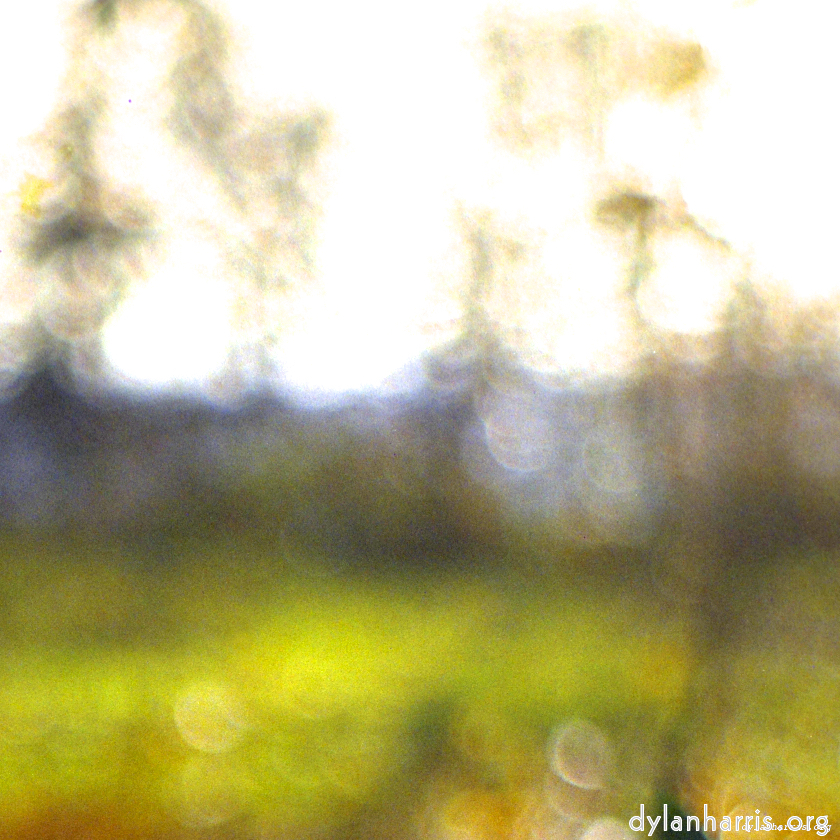 image: This is ‘
wood (xiii) 1
’.