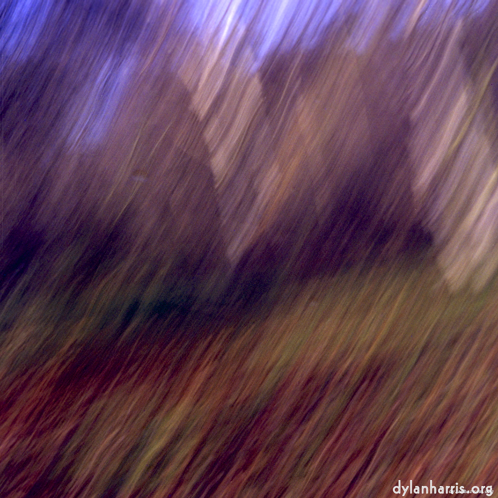 wood image: an image