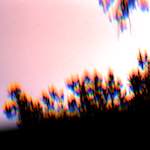 image: Image from the photoset ‘
wood (xiii)
’.