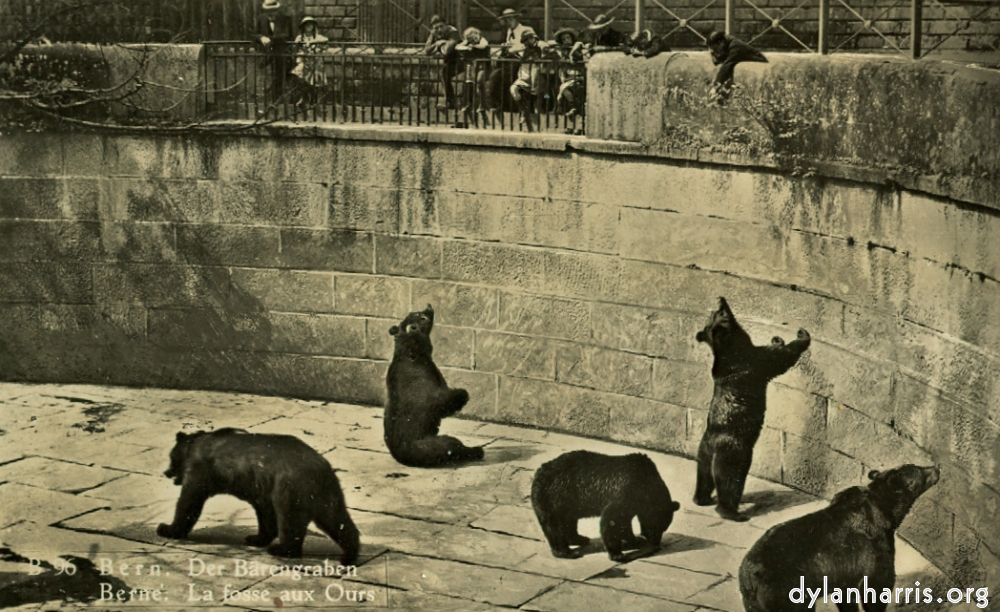 image: Postcard: B 96 Bern. Der Barengraben. Berne. La fosse aux Ours. [[ The Bear Pit, Bern. ]]