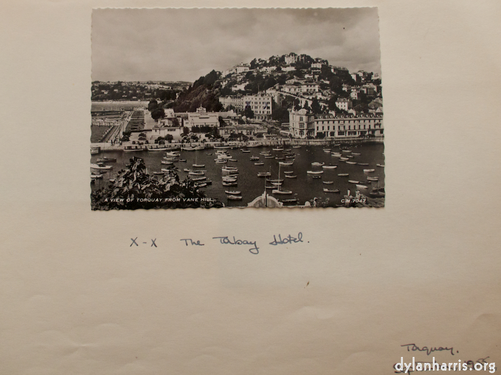 Image: Image 'young couple 11'.