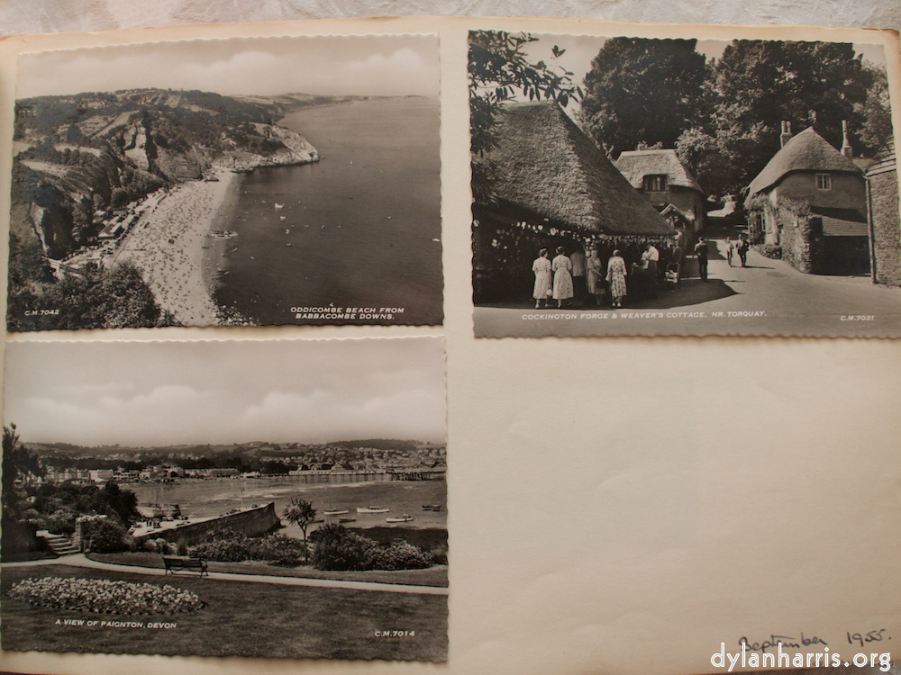 Image: Image 'young couple 15'.