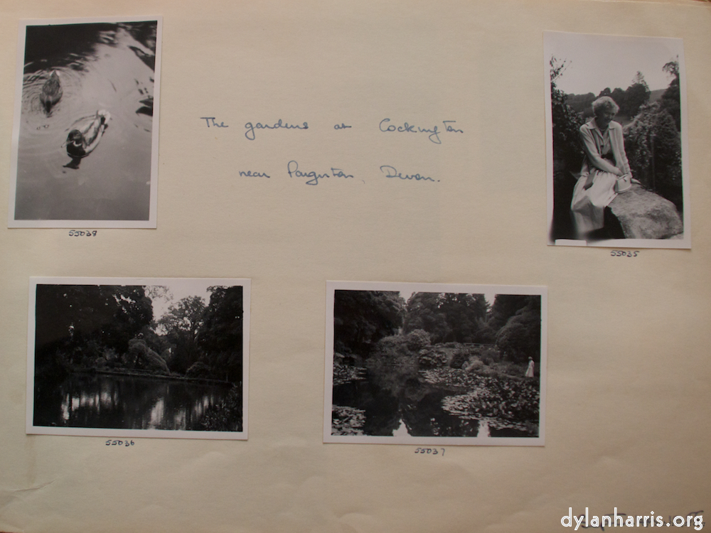 Image: Image 'young couple 16'.