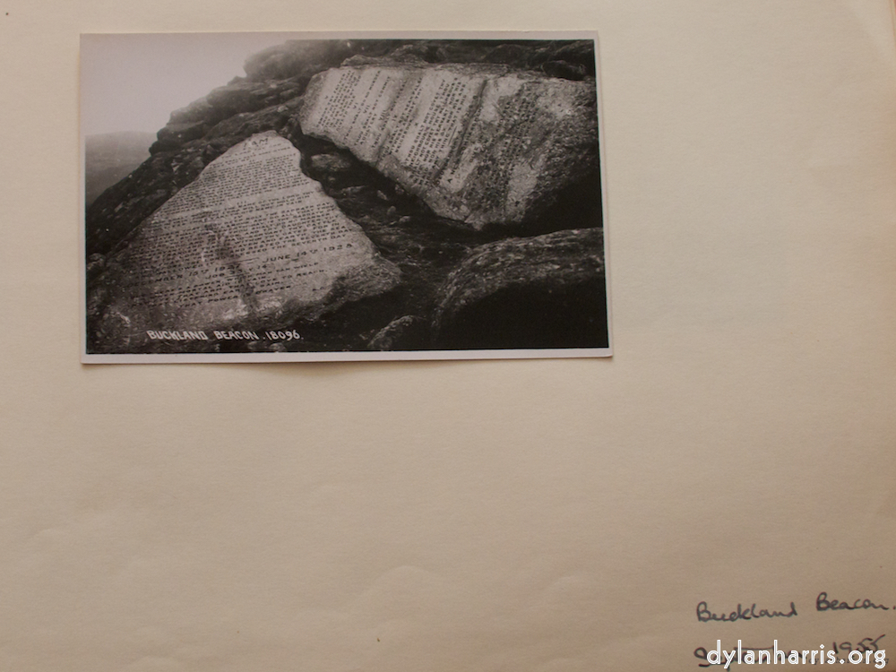 Image: Image 'young couple 19'.