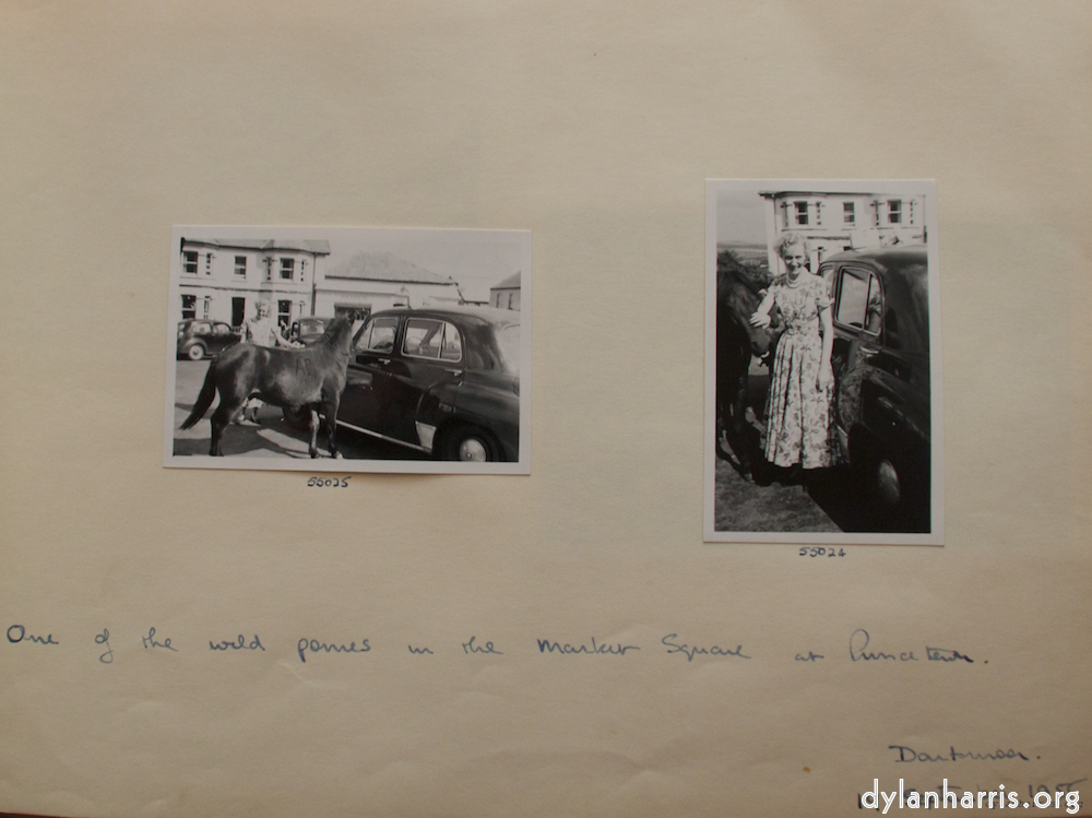 Image: Image 'young couple 9'.