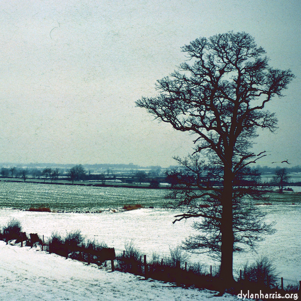 image: This is ‘
damage (cccv) 3
’.