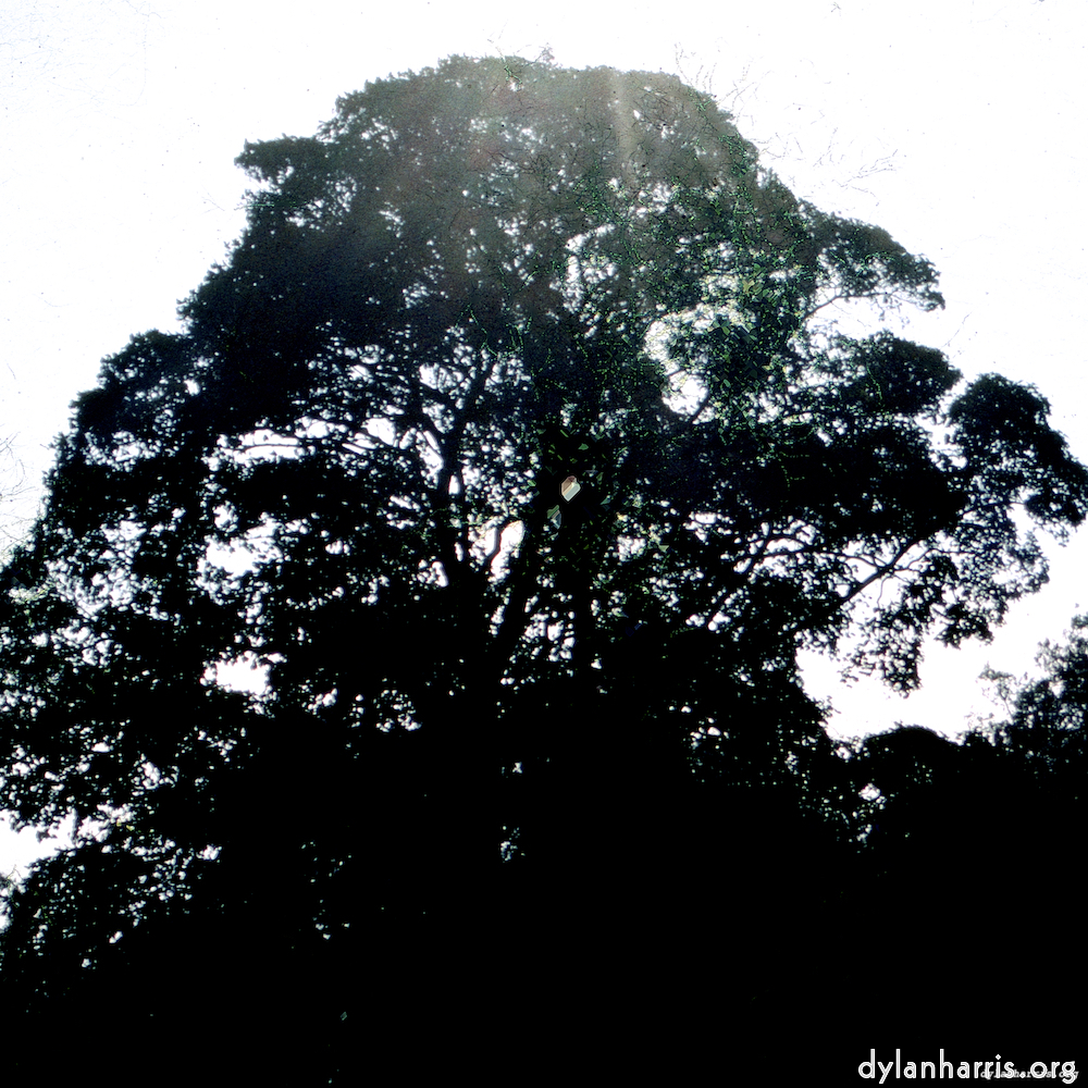 image: This is ‘
damage (cccv) 4
’.