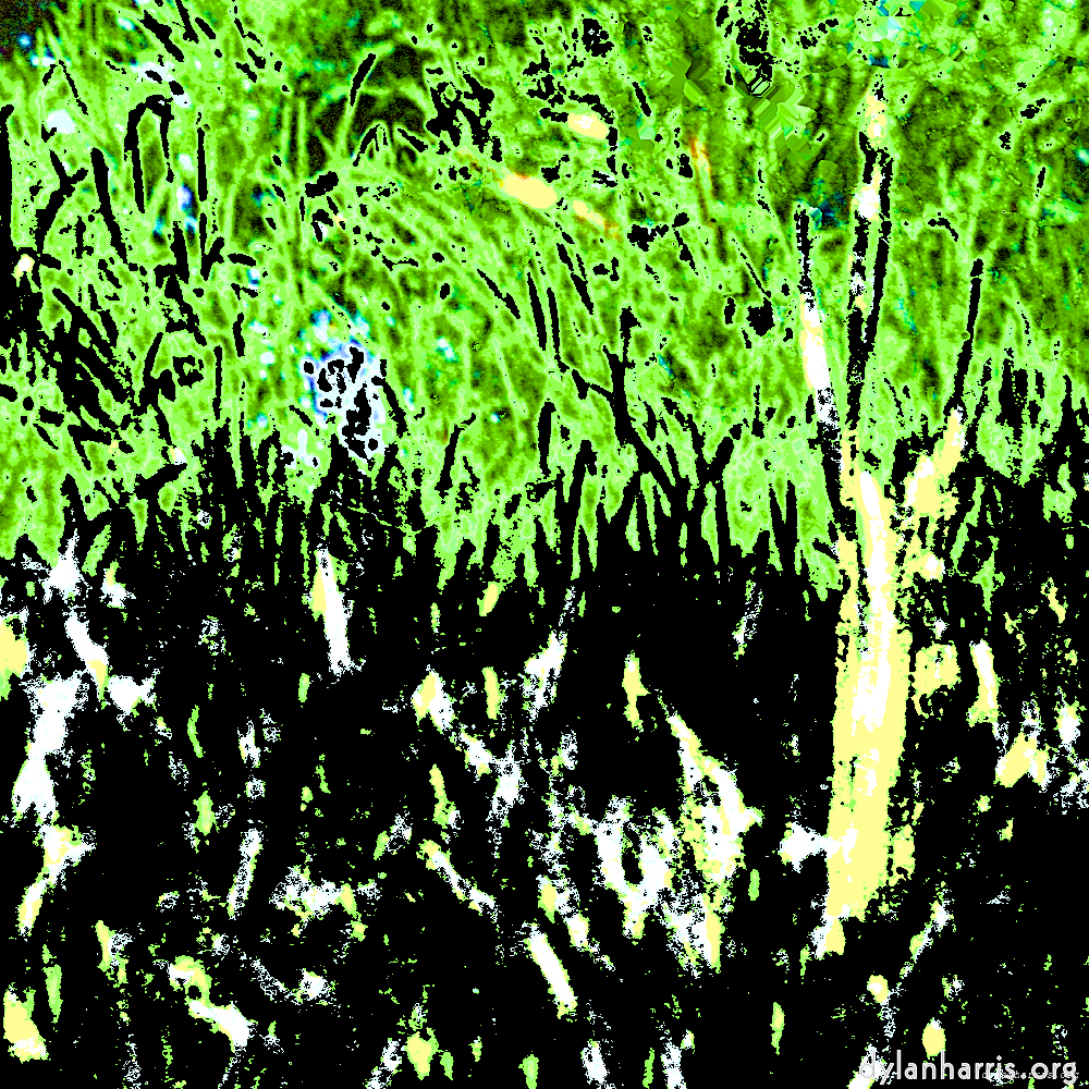 image: This is ‘
damage (cccv) 5
’.