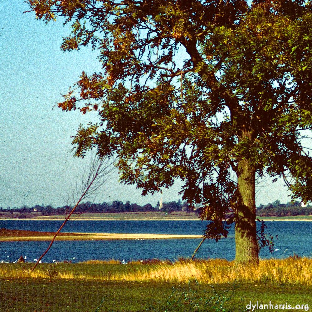 image: This is ‘
damage (cccv) 6
’.