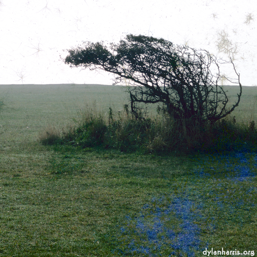 image: This is ‘
damage (cccv) 9
’.