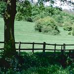 image: Image from the photoset ‘
damage (cccv)
’.