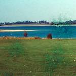 image: Image from the photoset ‘
damage (cccv)
’.