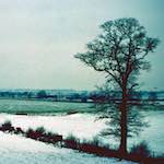 image: Image from the photoset ‘
damage (cccv)
’.