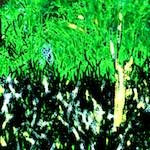 image: Image from the photoset ‘
damage (cccv)
’.