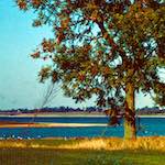 image: Image from the photoset ‘
damage (cccv)
’.