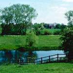 image: Image from the photoset ‘
damage (cccv)
’.