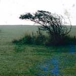 image: Image from the photoset ‘
damage (cccv)
’.