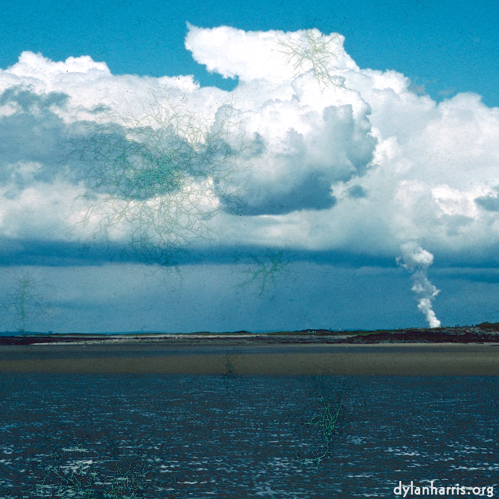 Image: Image 'damage (cccvi) 2'.