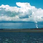 image: Image from the photoset ‘
damage (cccvi)
’.