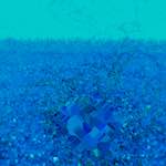 image: Image from the photoset ‘
damage (cccvi)
’.