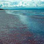 image: Image from the photoset ‘
damage (cccvi)
’.