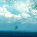 image: Image from the photoset ‘
damage (cccvi)
’.