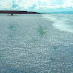 image: Image from the photoset ‘
damage (cccvi)
’.