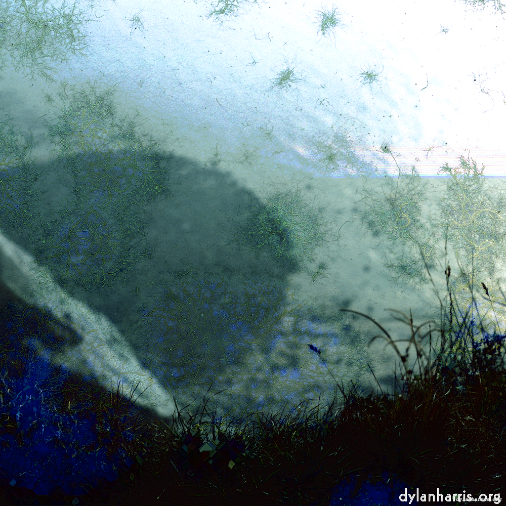 Image: Image 'damage (cccvii) 8'.