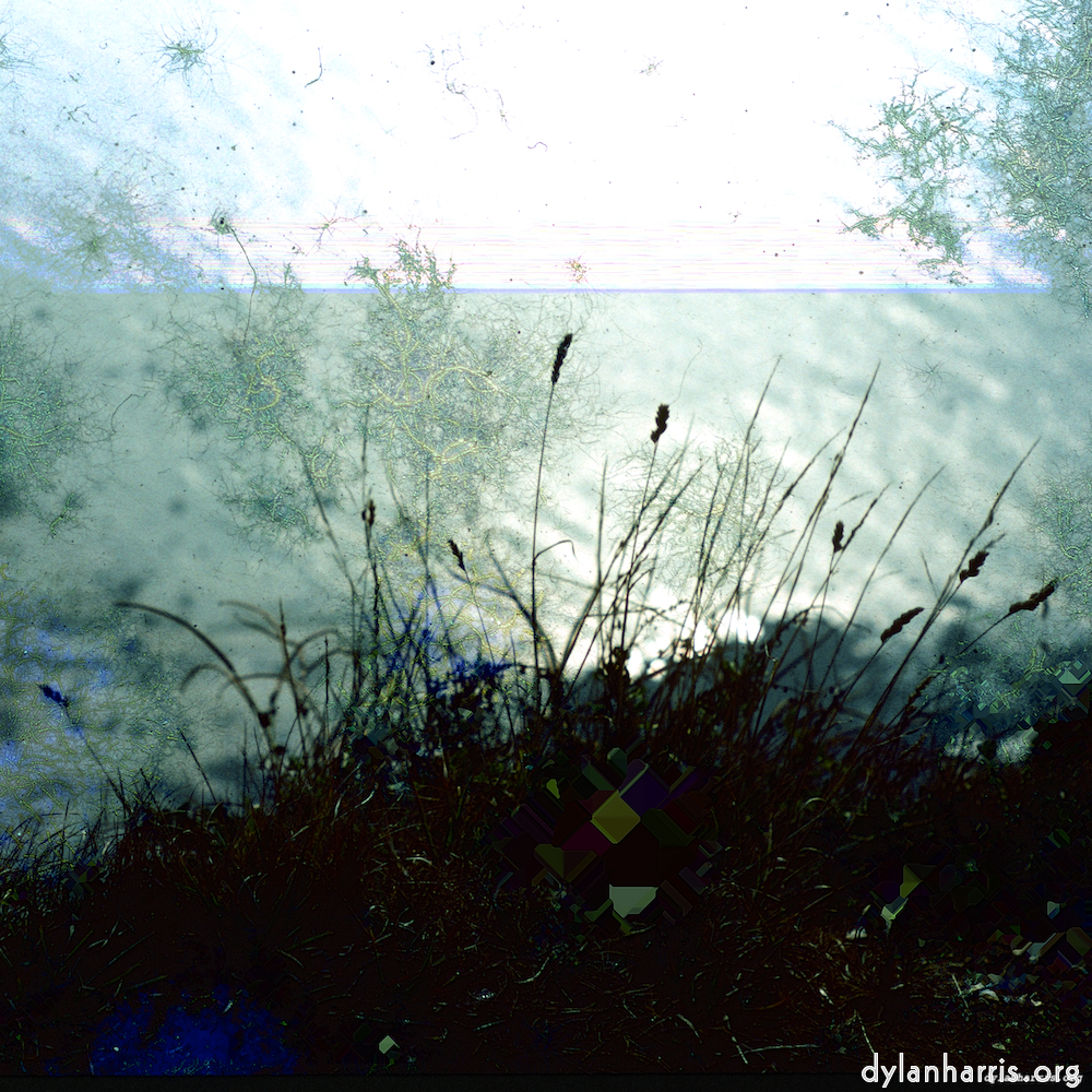 Image 'damage (cccvii) 9'.