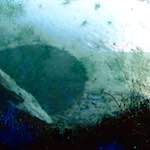 image: Image from the photoset ‘
damage (cccvii)
’.