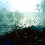 image: Image from the photoset ‘
damage (cccvii)
’.