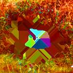 image: Image from the photoset ‘
damage (cccviii)
’.