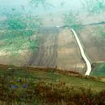 image: Image from the photoset ‘
damage (cccviii)
’.