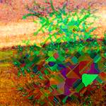 image: Image from the photoset ‘
damage (cccviii)
’.