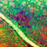 image: Image from the photoset ‘
damage (cccviii)
’.