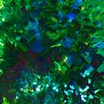 image: Image from the photoset ‘
damage (cccix)
’.