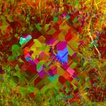 image: Image from the photoset ‘
damage (cccix)
’.