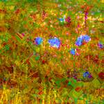 image: Image from the photoset ‘
damage (cccix)
’.