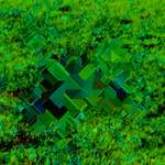 image: Image from the photoset ‘
damage (cccix)
’.