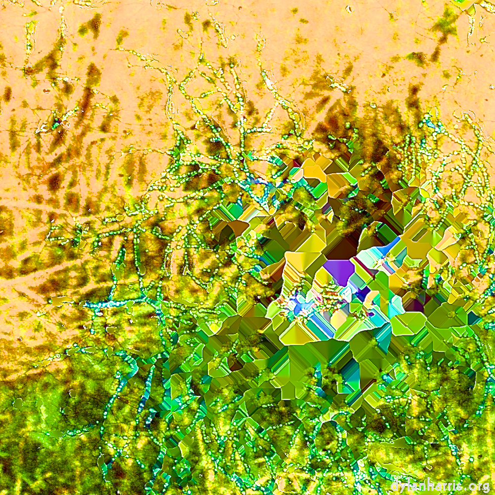 image: This is ‘
damage (cccx) 5
’.