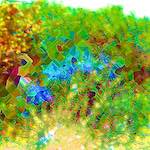 image: Image from the photoset ‘
damage (cccx)
’.