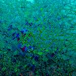 image: Image from the photoset ‘
damage (cccx)
’.