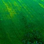 image: Image from the photoset ‘
damage (cccxi)
’.