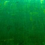 image: Image from the photoset ‘
damage (cccxi)
’.