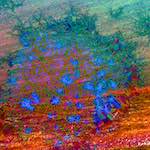 image: Image from the photoset ‘
damage (cccxii)
’.