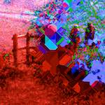 image: damage (cccxii) photoset