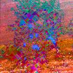 image: Image from the photoset ‘
damage (cccxii)
’.